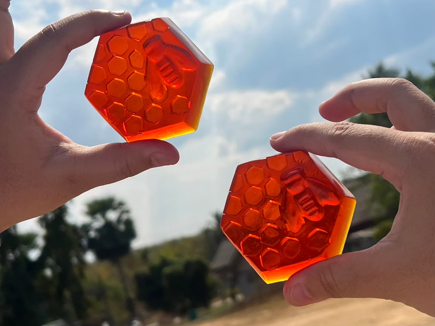 ภาพประกอบรายงาน